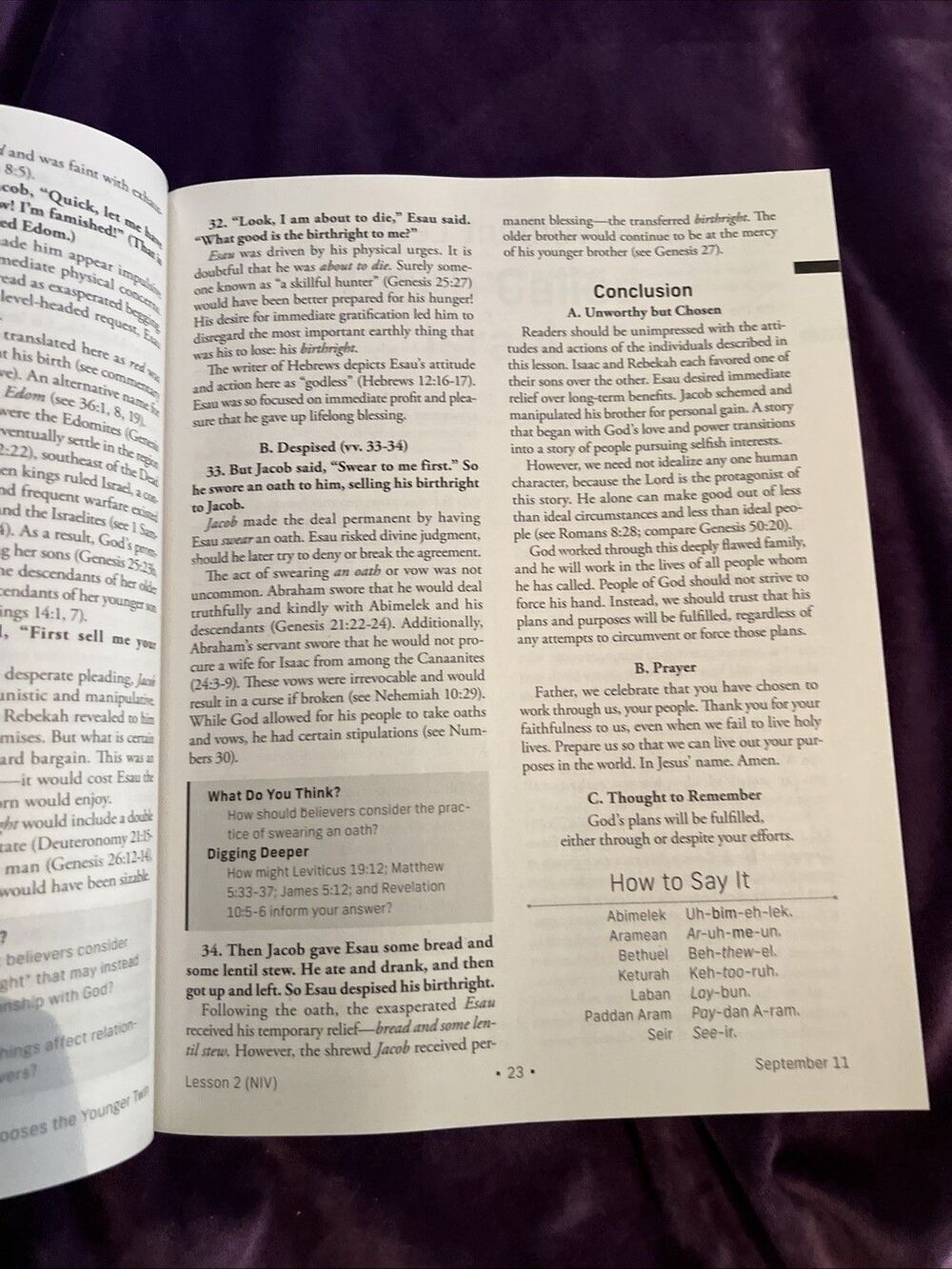 Standard Lesson Comm Ser.: NIV® Standard Lesson Commentary® Large Print Edition - Picture 4 of 10